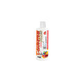 L-CARNITINE PLUS 450ML PONCHE DE FRUTAS