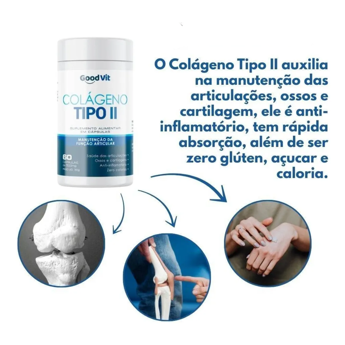 GOOD VIT COLAGENO TIPO 2 40MG 60 CAPS