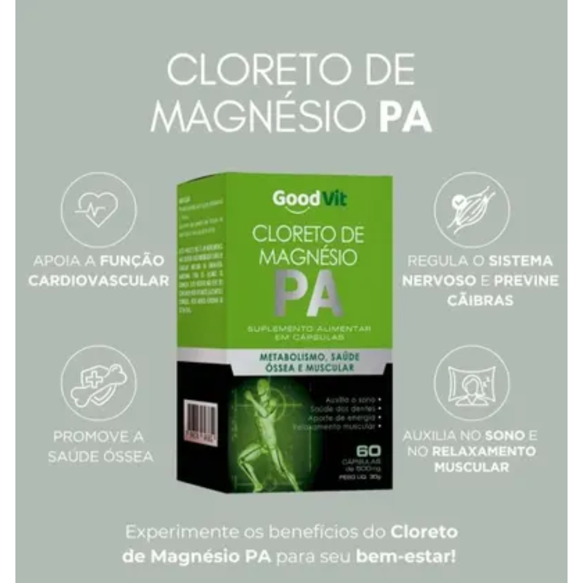 GOOD VIT CLORETO MAGNESIO P.A 260MG 60CAP