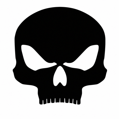 CREATINA BLACK SKULL TURBO 300GR