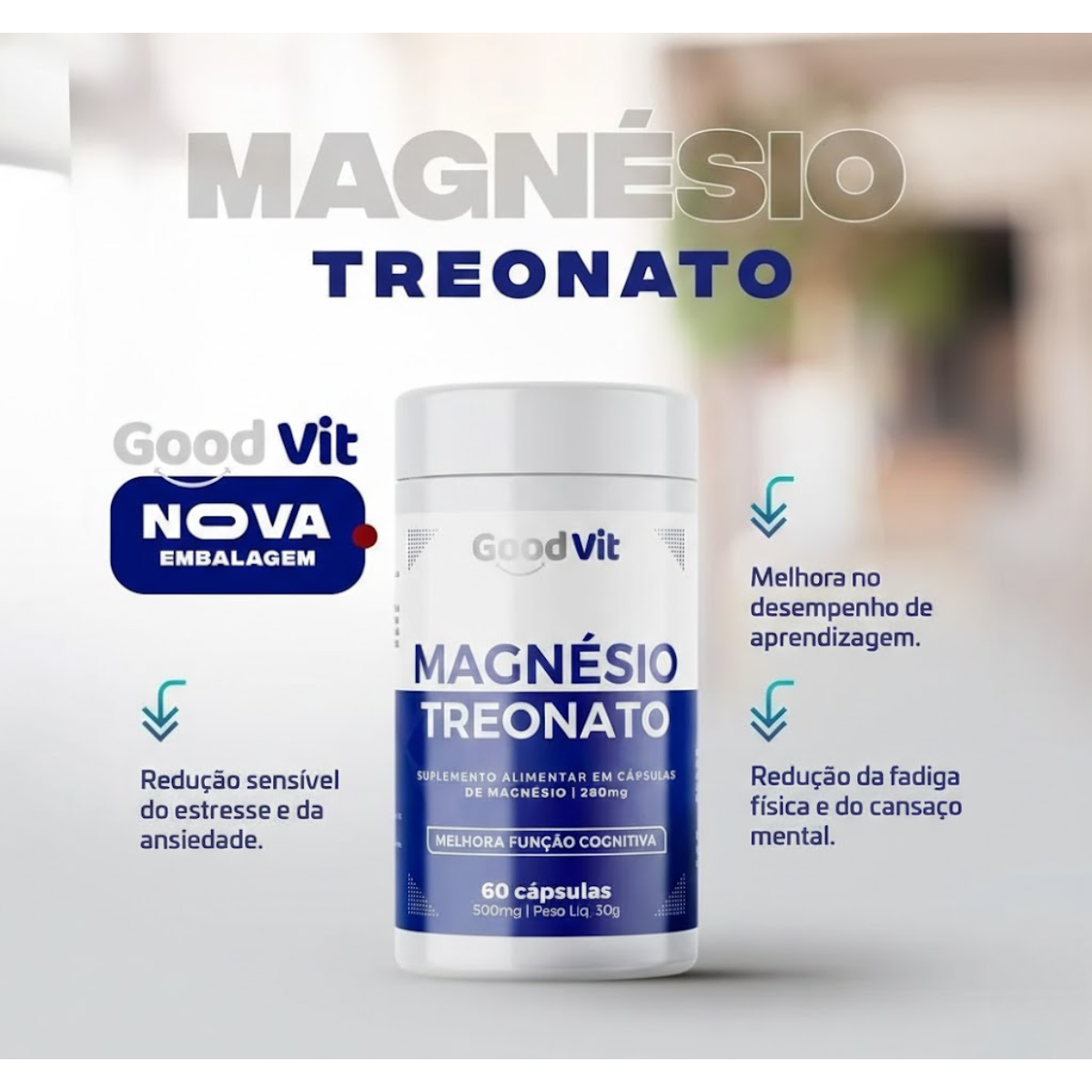 GOOD VIT MAGNESIO TREONATO 260MG 60 CAPS